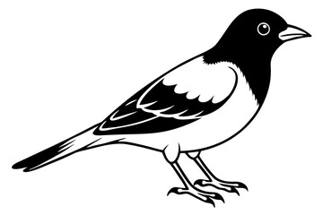 lark bird line art silhouette vector illustration