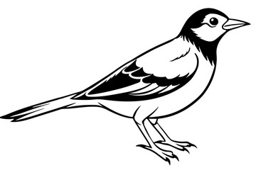 Obraz premium lark bird line art silhouette vector illustration
