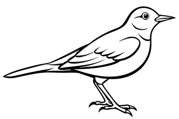 lark bird line art silhouette vector illustration