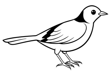 Obraz premium lark bird line art silhouette vector illustration