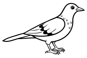 lark bird line art silhouette vector illustration