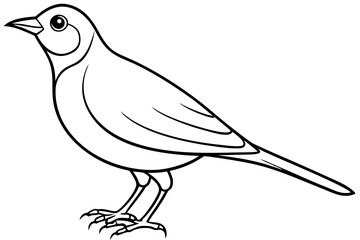 lark bird line art silhouette vector illustration