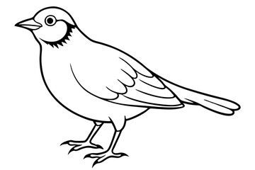 Fototapeta premium lark bird line art silhouette vector illustration