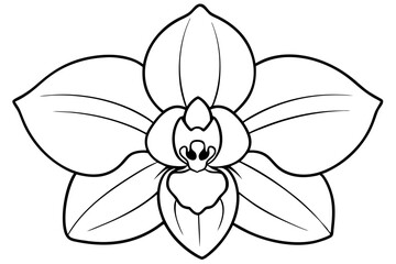 orchid flower line art silhouette vector illustration