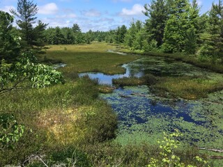 river and pond in a lush, wet landscape - rivière et étang dans un paysage de terrain humide et...