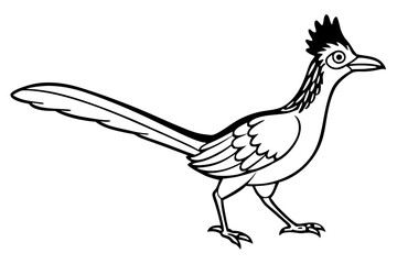 roadrunner line art silhouette vector illustration