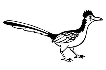 roadrunner line art silhouette vector illustration
