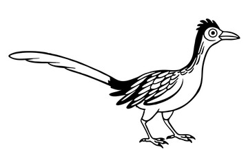 roadrunner line art silhouette vector illustration