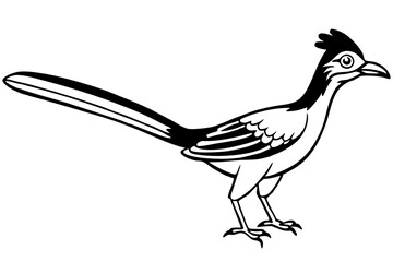 roadrunner line art silhouette vector illustration