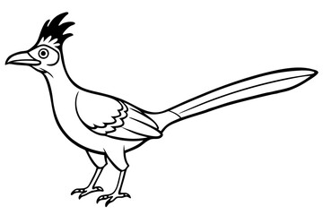 roadrunner line art silhouette vector illustration