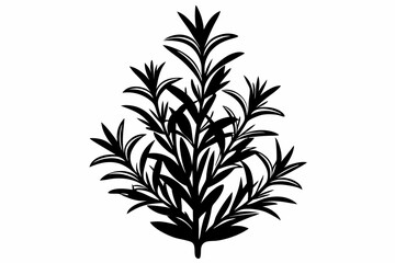 rosemary line art silhouette vector illustration