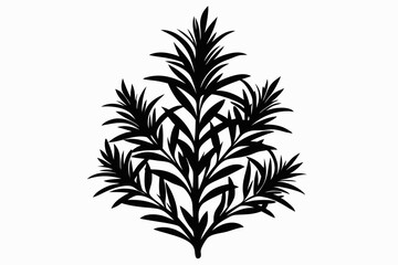 rosemary line art silhouette vector illustration