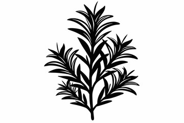 rosemary line art silhouette vector illustration