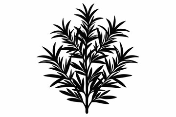 rosemary line art silhouette vector illustration