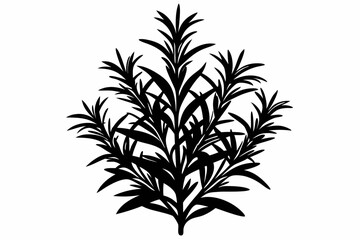 rosemary line art silhouette vector illustration