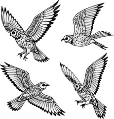 abstract beground illustration set of owls again flying