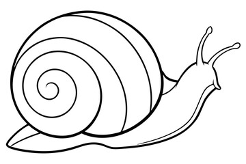 sea snail line art silhouette vector illustration