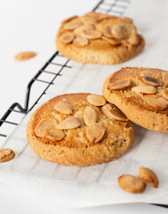 Bunch of almond cookies on a cooling tray with a white background