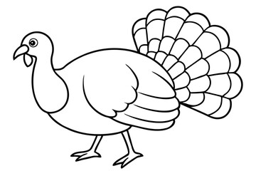 turkey line art silhouette vector illustration