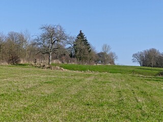 La Neuville Au Pont, March 2025:hiking in the Argonne and Ardennes forests, surrounded by trees and nature	