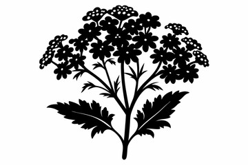 Obraz premium yarrow flower line art silhouette vector illustration