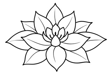 zenobia flower line art silhouette vector illustration
