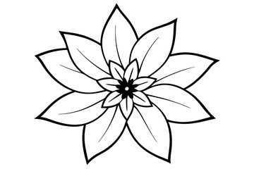 zenobia flower line art silhouette vector illustration