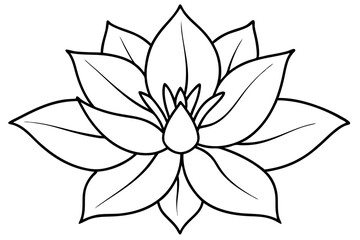 zenobia flower line art silhouette vector illustration