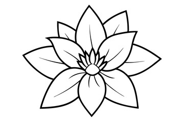 zenobia flower line art silhouette vector illustration