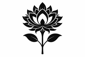 zenobia flower line art silhouette vector illustration