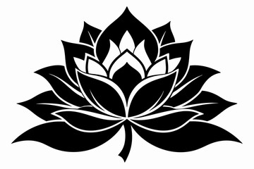 zenobia flower line art silhouette vector illustration