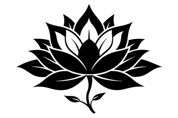 zenobia flower line art silhouette vector illustration