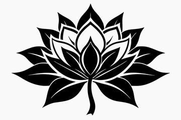 zenobia flower line art silhouette vector illustration