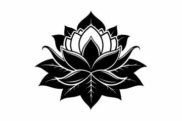 Fototapeta premium zenobia flower line art silhouette vector illustration