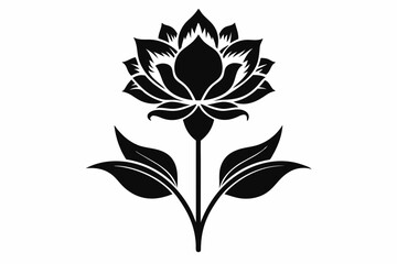 zenobia flower line art silhouette vector illustration