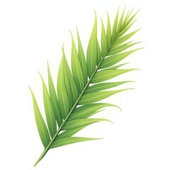 fresh green palm image in white background