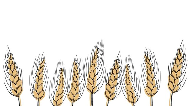 food banner animation bakery, pastry with wheat, oat, barley, rye, wheat ears stalks, field on yellow background and space for text, copy space