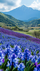Spring flowers in the mountains