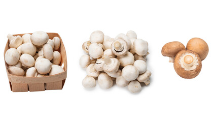 Champignon mushroom isolated on white background.