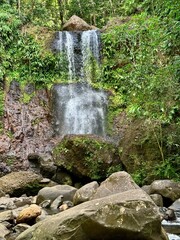 view of a waterfall in the tropical forest of Guadeloupe in the French West Indies with lush...