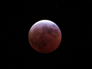 Luna de sangre 
