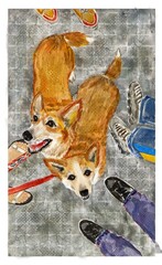 Corgi dogs postcard watercolor illustration 