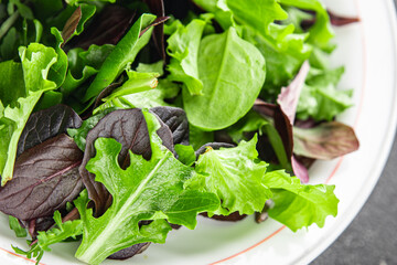 Fresh salad leaves mix salad juicy healthy snack micro greens, arugula, lettuce, oak leaf, green...