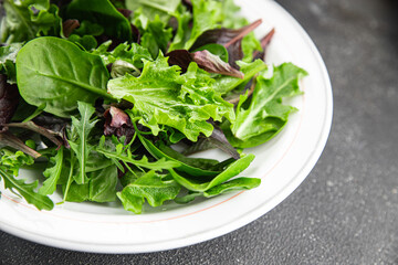 Fresh salad leaves mix salad juicy healthy snack micro greens, arugula, lettuce, oak leaf, green...