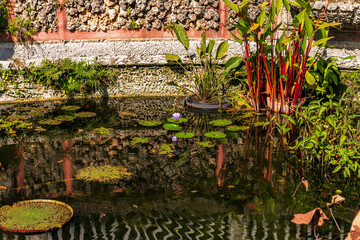Garden pond with fountain. Water lily flower in pond water. Landscape garden pond. Nature concept...