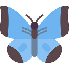 Butterfly Icon