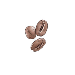 A digital illustration of coffee beans in a hand-drawn style on a white background. It features individual beans and a heart shape made of beans. Clean and minimalist, perfect for packaging design
