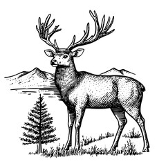 Elegant engraved illustration of a majestic stag amid a serene mountainous landscape exemplifying vintage artistry