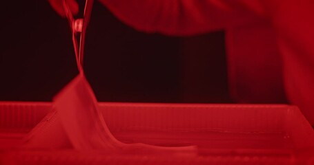 Photographic Paper Soaking in Chemical Solution During Film Development