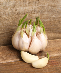 fresh garlic on wooden background